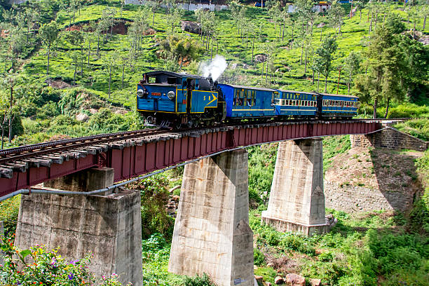 Ooty Tour Packages — Ooty